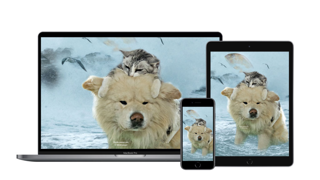 ダウンロード購入で支援 に壁紙第二弾 わさお記念碑プロジェクト